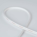 0612 TIRA DE NEÓN DIGITAL